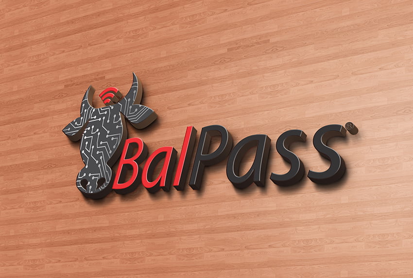 BalPass - Balança de Passagem